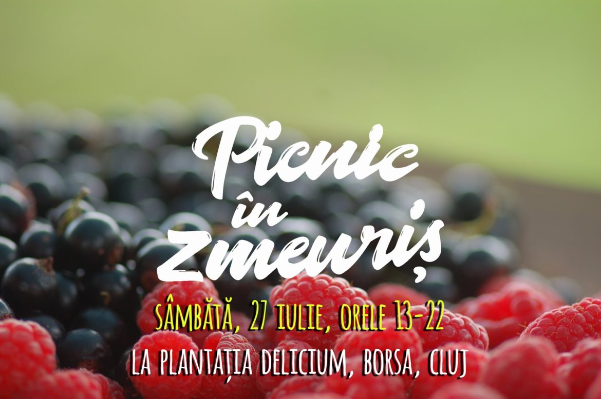 Picnic în zmeuriș, la Borșa