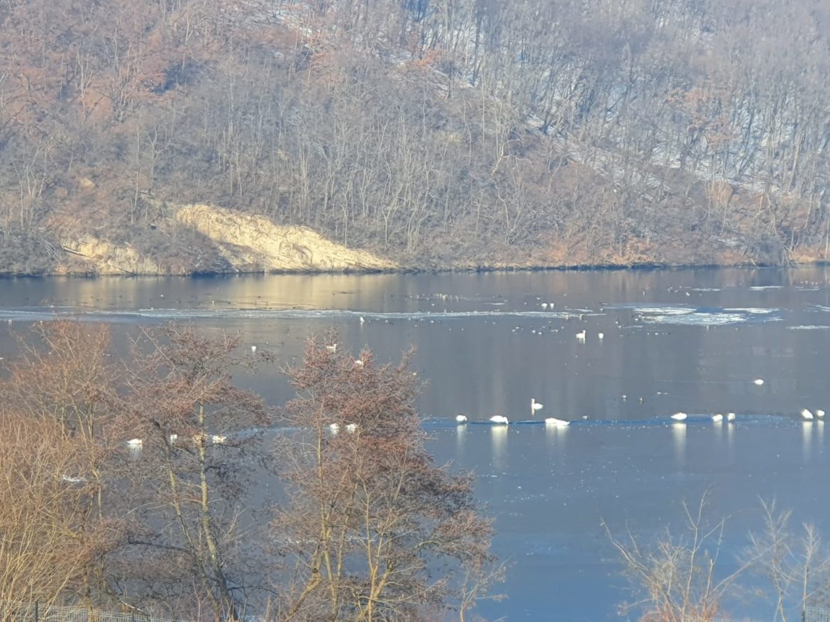 9c5d6c72-8e4f-4ca4-9c1a-7b379a6f3c8b