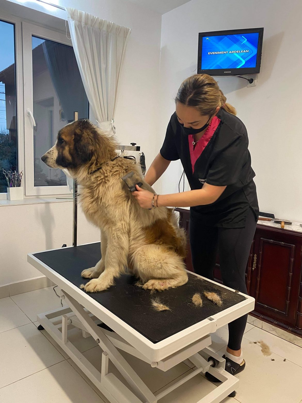 125183808_3428533047224920_3369527911573210416_o