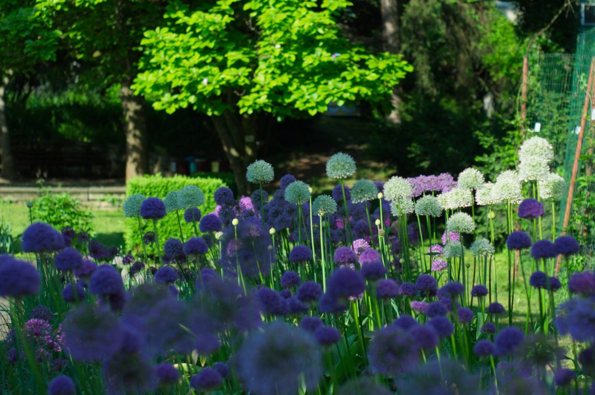 191815539_4338779899480224_7727807527090373038_n