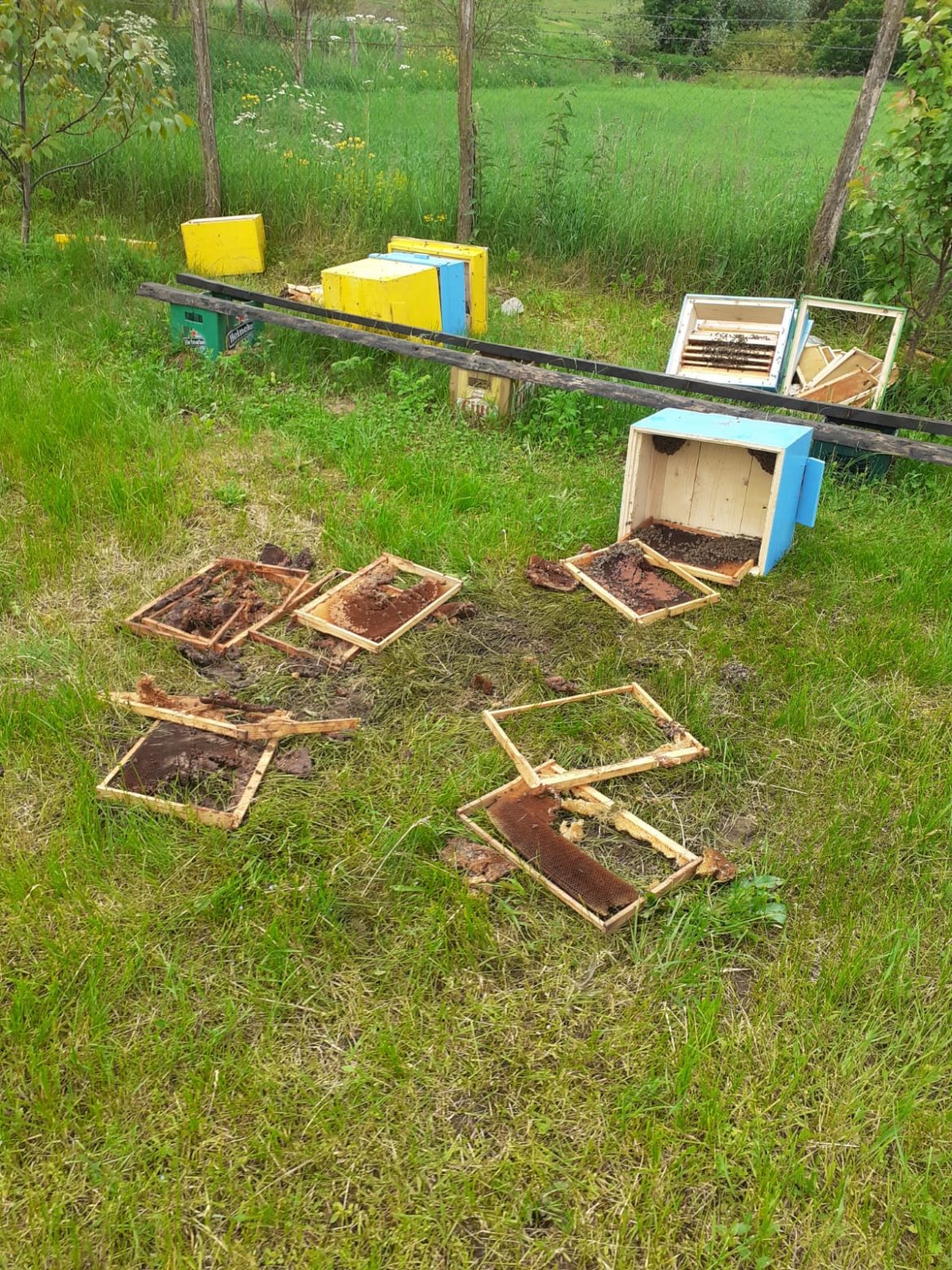 EA47DAEF-B467-4001-923A-C99EBA3AB693