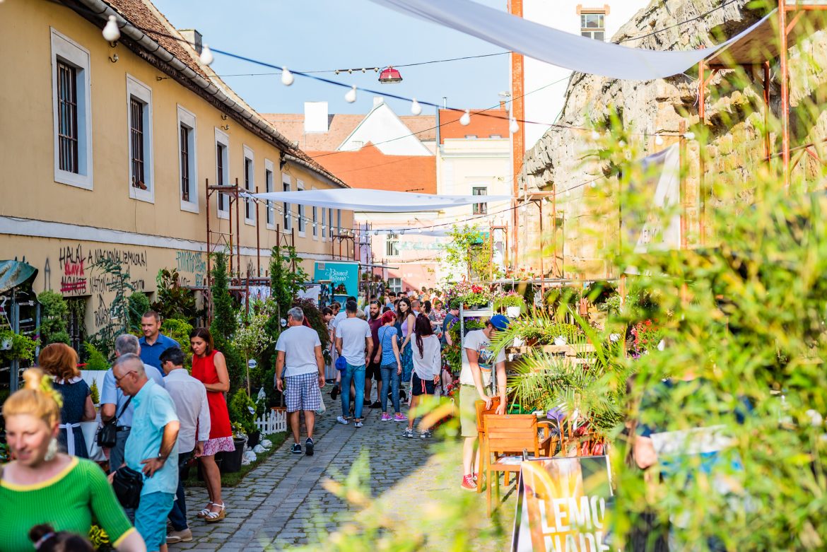 Strada Potaissa se transformă din nou în ”piața de flori altfel”