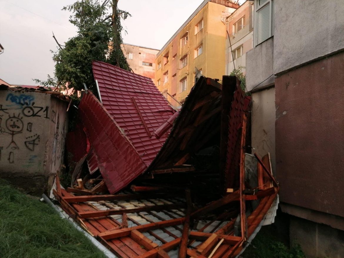 E226350F-037C-473F-9D21-DCD9A633A88E