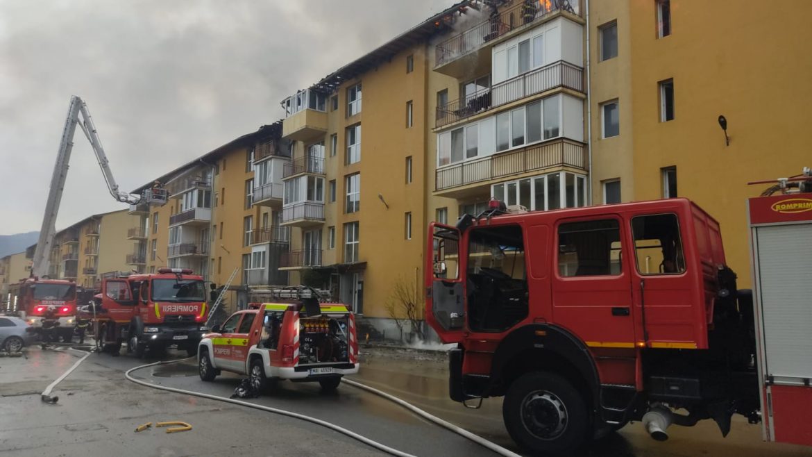 incendiu floresti