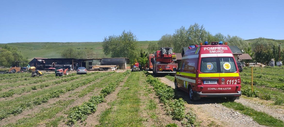 incendiu magazie borsa
