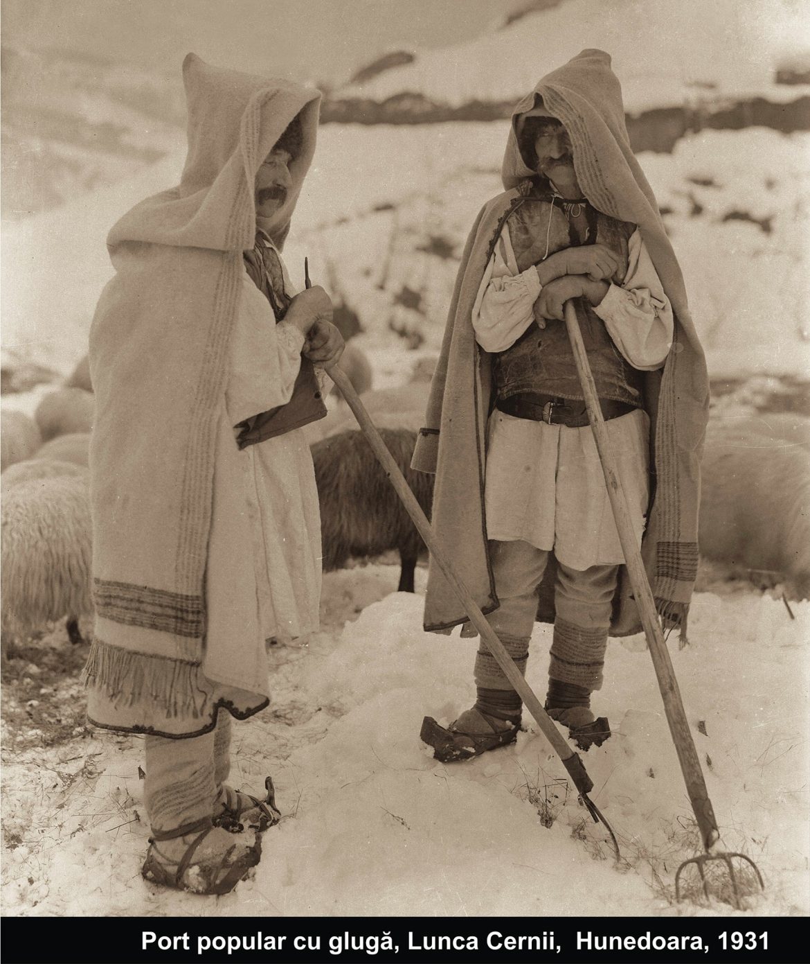 313418902_446469361009170_65634437604320284_n