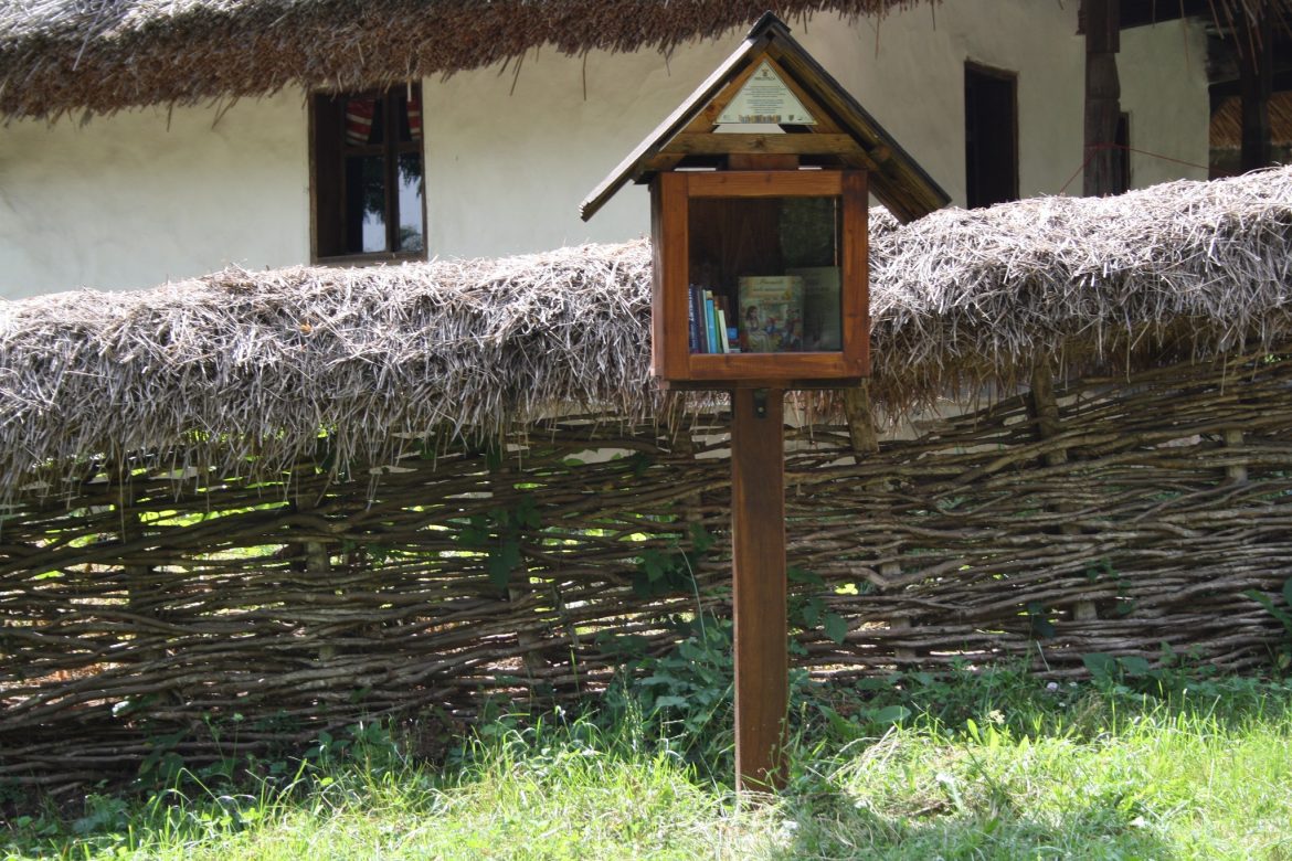 359231907_603074202015351_2321518355622437577_n