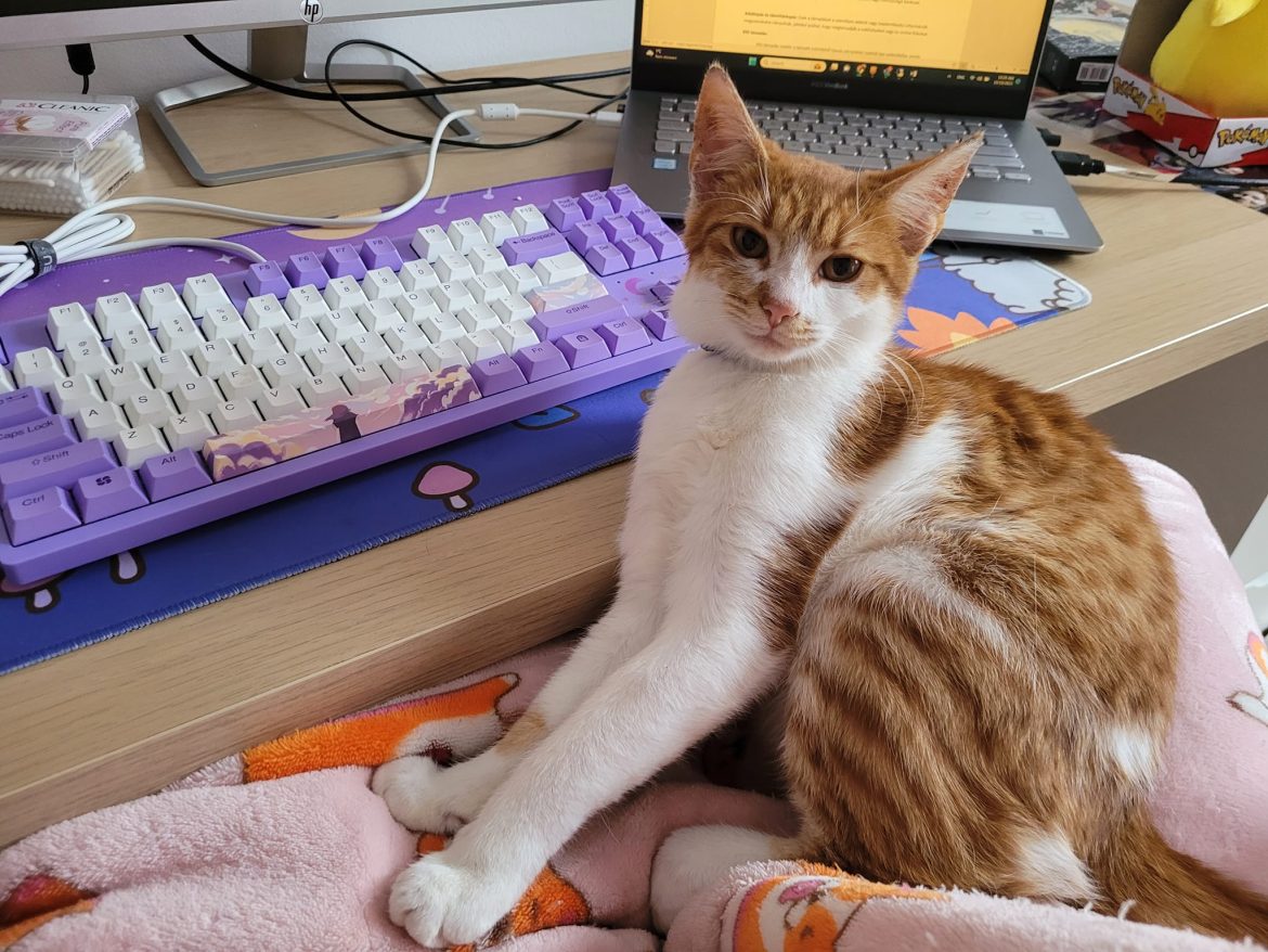 395897439_7149609675071616_3713518722110744079_n