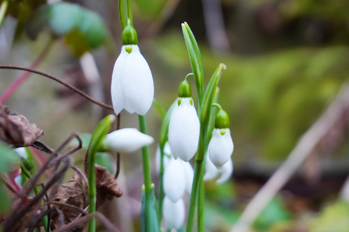 426421925_876953994231342_9153760261177364113_n