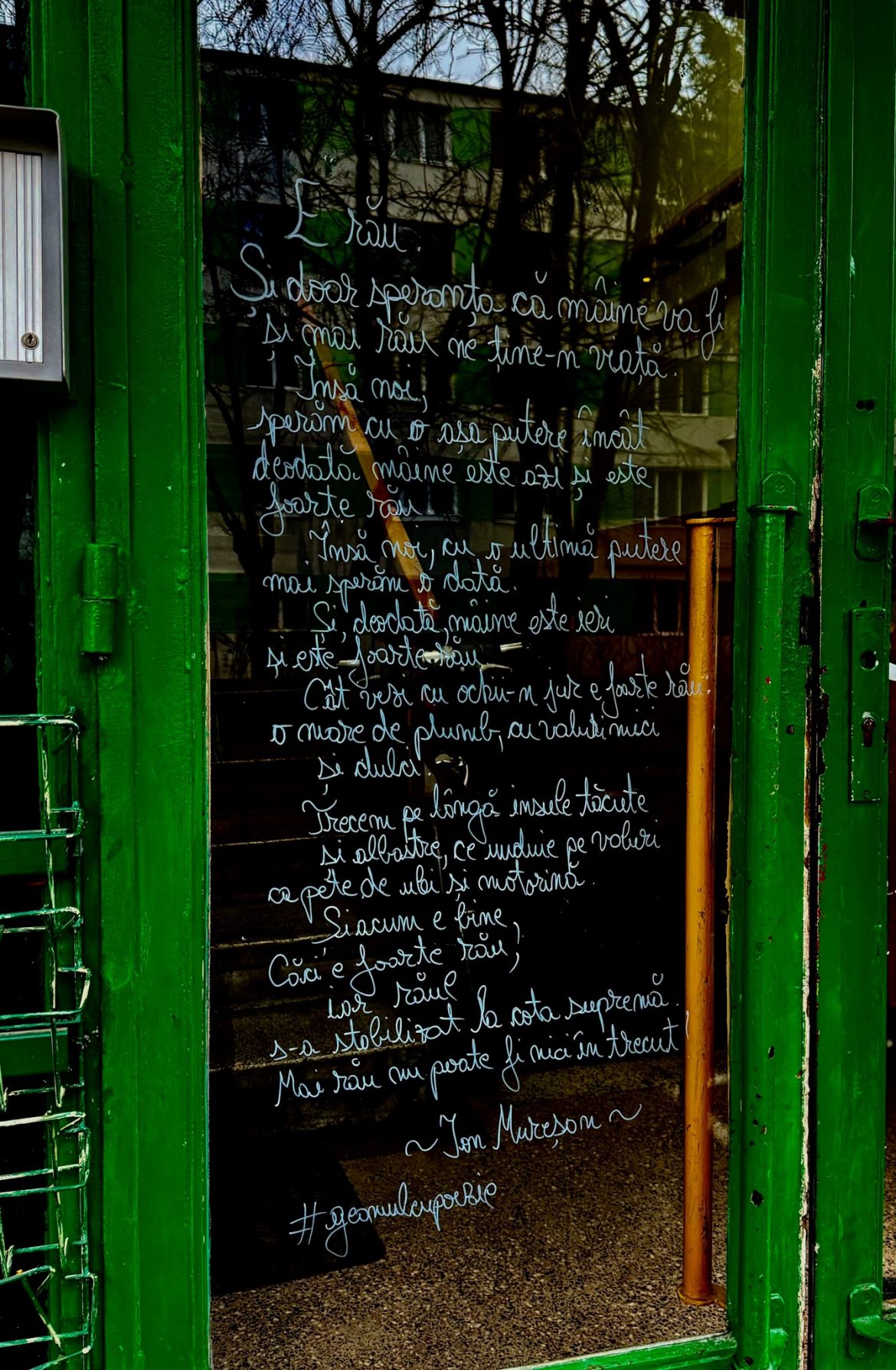 428602656_8019075654773426_2516028503692528706_n