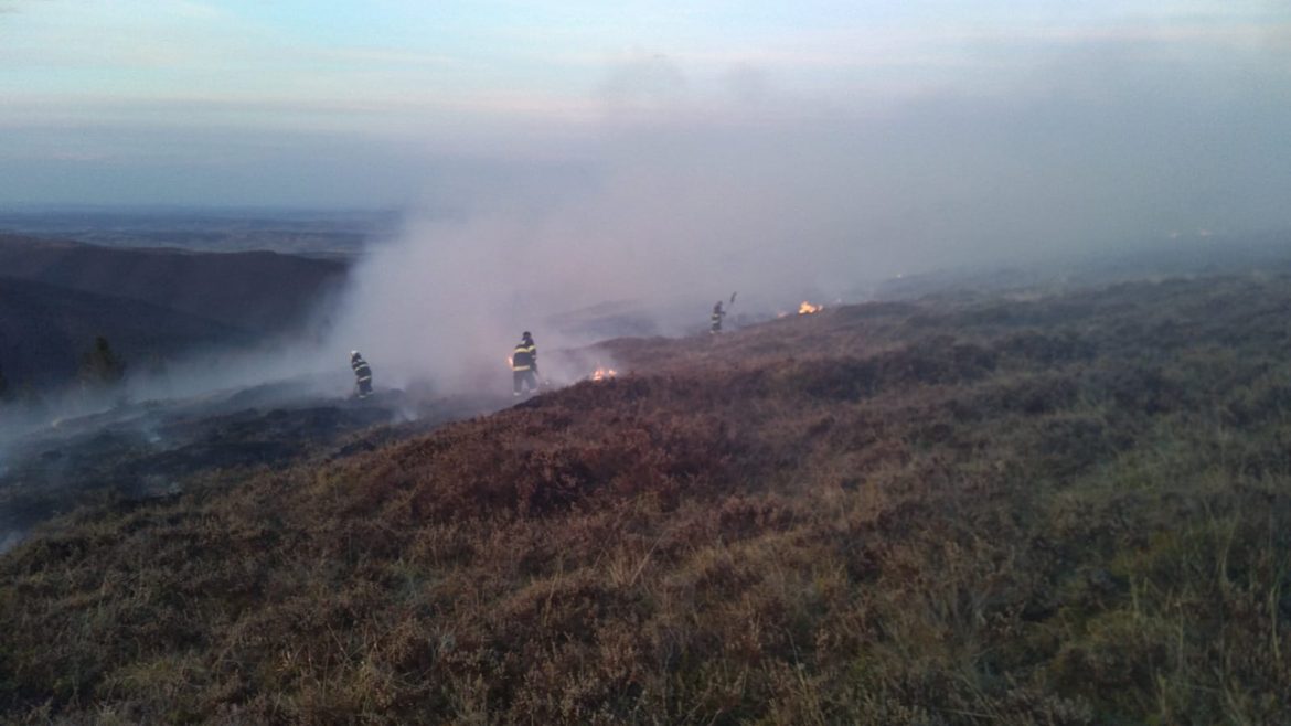 WhatsApp Image 2024-03-30 at 7.41.14 PM