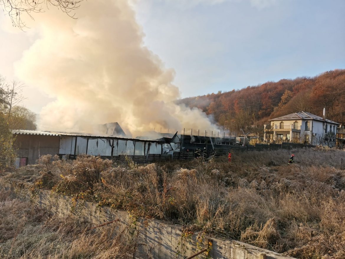 incendiu hala Feleacu