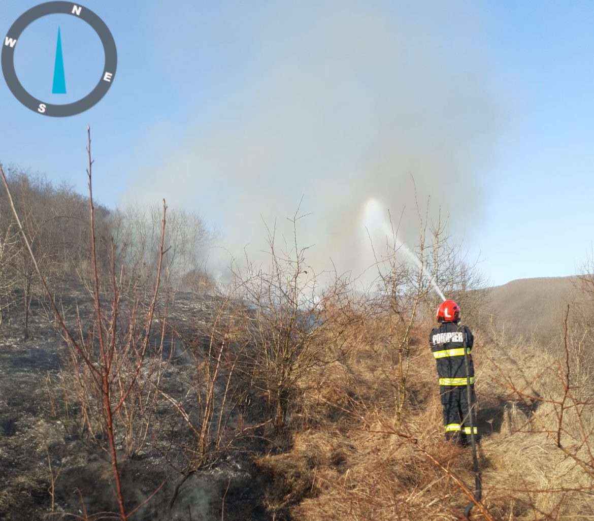 incendiu vegetatie uscata