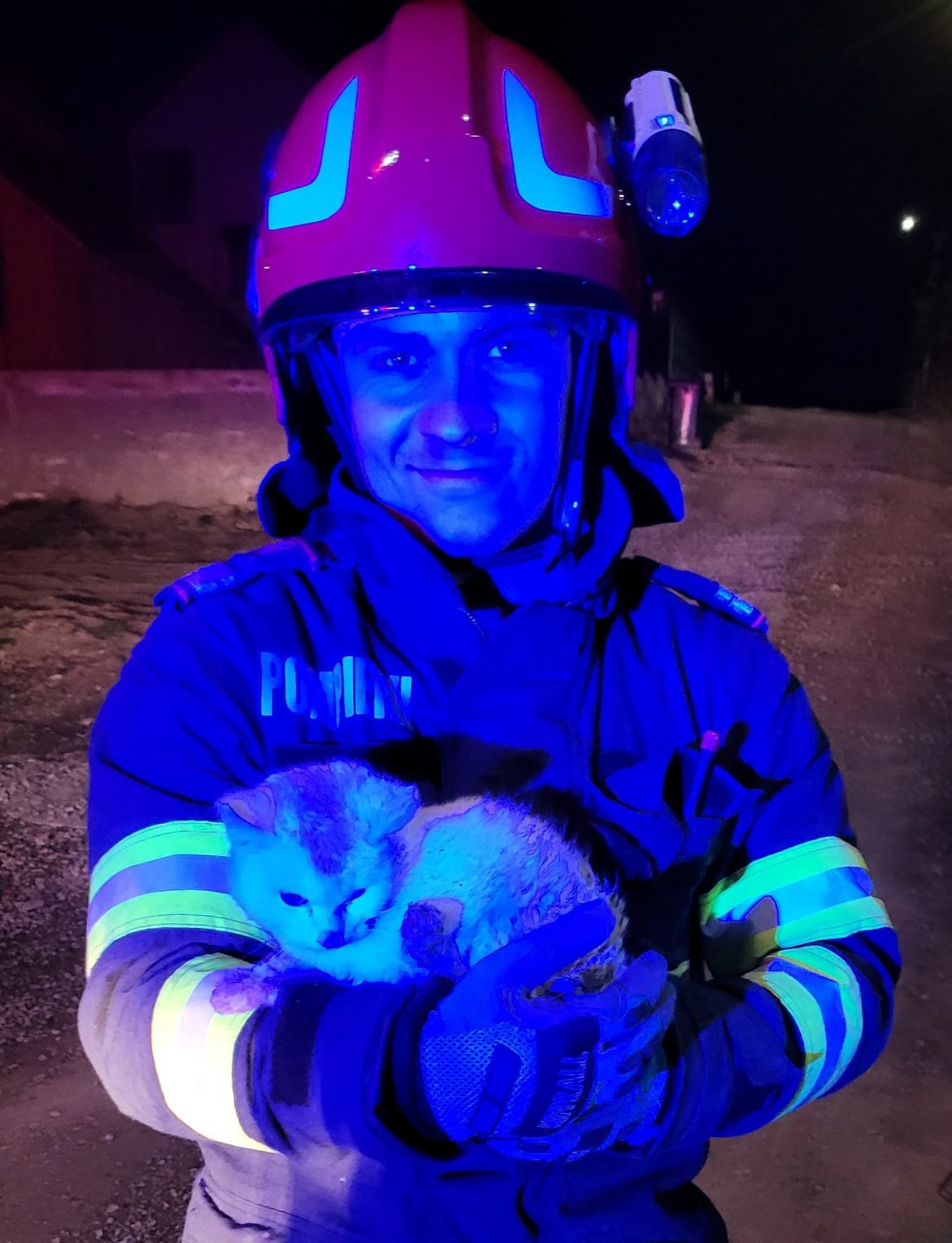 pisică salvată de pompier