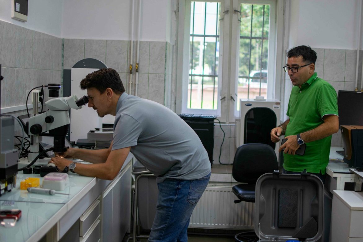 Laborator-2048×1365